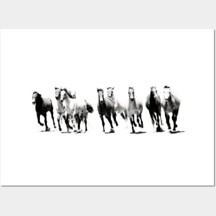 Black and White Horses Running Posters and Art